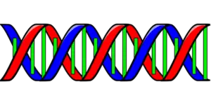 DNA computing